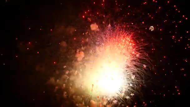 Exibição de fogos de artifício em 4 de julho — Vídeo de Stock