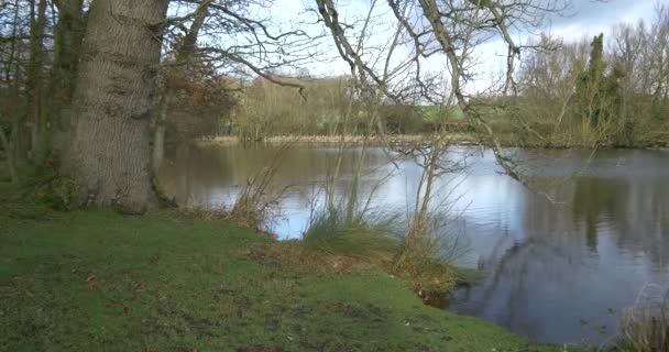 hiver lac vue nature 