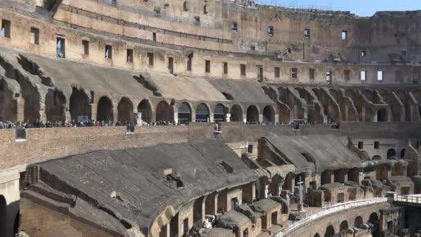 Toeristen wandelen in Colosseum — Stockvideo