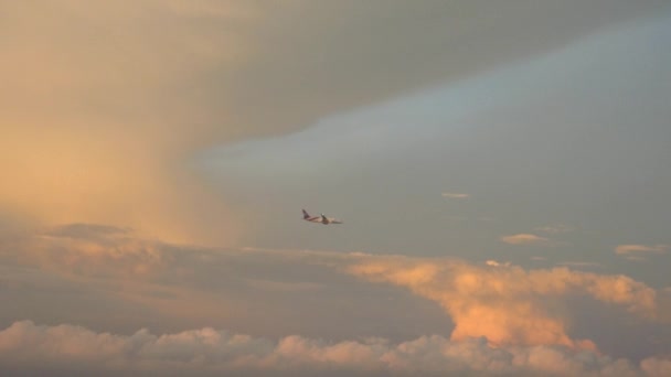 Flugzeug fliegt in den Himmel des Sonnenuntergangs — Stockvideo