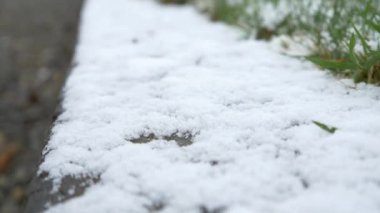 yolda kar ile yeşil çimen