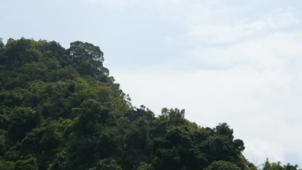 热带景观的下龙湾 — 图库视频影像