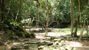 Angkor wat bayon Tapınağı