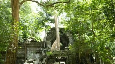 Kamboçya Angkor wat bayon tapınakta