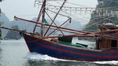 tropikal peyzaj ha uzun bay