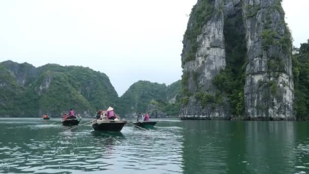 Στο τροπικό τοπίο του Κόλπος Χα Λονγκ — Αρχείο Βίντεο