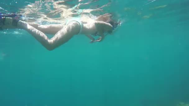 Woman swimming in water — Stock Video