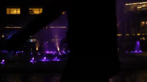 Fontana illuminata di notte — Video Stock