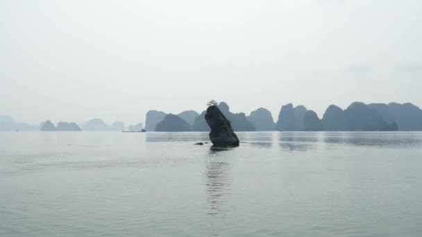 Tropiska landskapet i ha long bay — Stockvideo