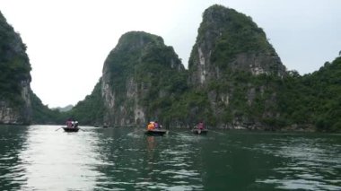 tropikal peyzaj ha uzun bay