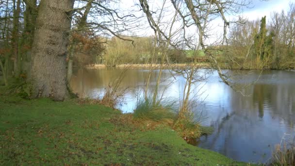 hiver lac vue nature 