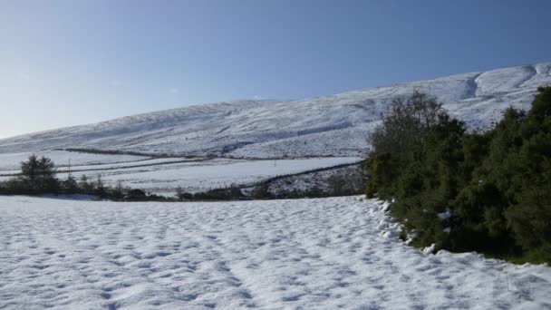 Montañas de nieve silvestre — Vídeos de Stock