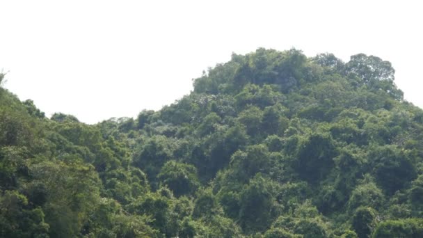 Paesaggio tropicale di ha lunga baia — Video Stock