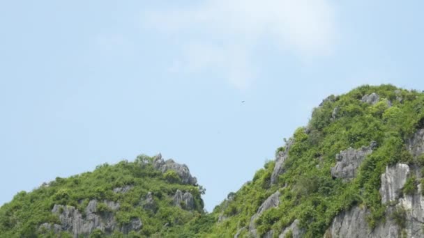 Paisaje tropical de la bahía de ha long — Vídeos de Stock