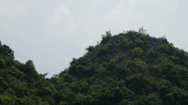 Paesaggio tropicale di ha lunga baia — Video Stock