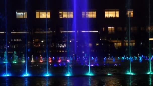 Illuminated fountain at night — Stock Video