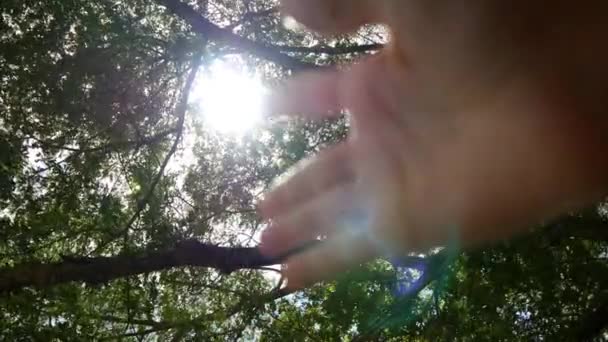 Sun 's Rays Through Fingers — стоковое видео