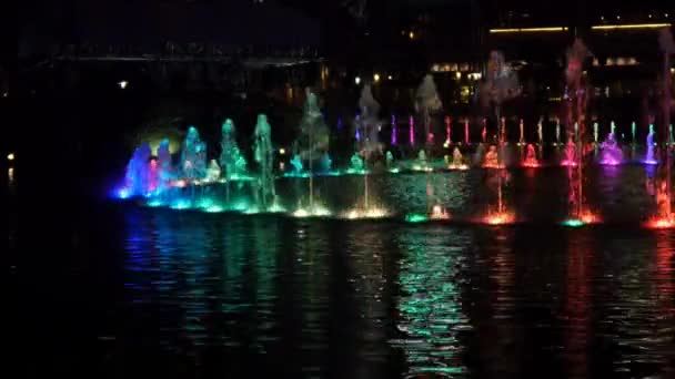 Illuminated fountain at night — Stock Video