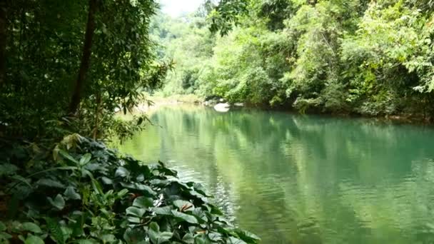 Rio na selva verde — Vídeo de Stock