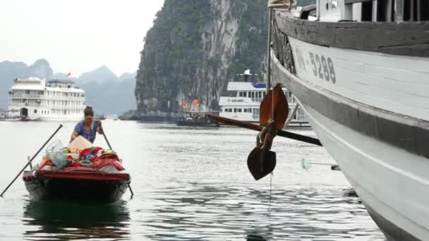 Tropical landscape of ha long bay — Stock Video