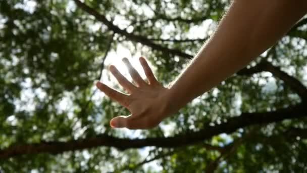 Sun's Rays Through Fingers — Stock Video