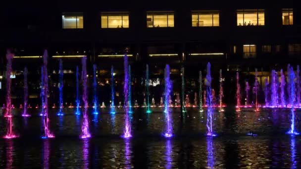 Illuminated fountain at night — Stock Video