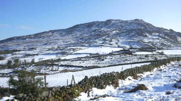 Montañas de nieve silvestre — Vídeo de stock