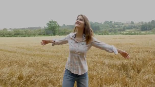 Mujer girando en el campo de trigo — Vídeos de Stock