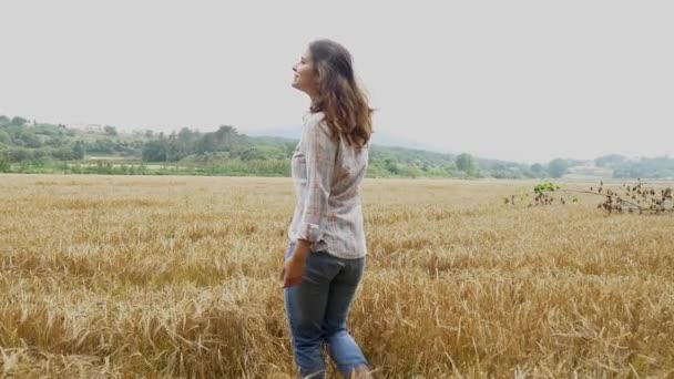 Mujer caminando en campo de trigo — Vídeo de stock