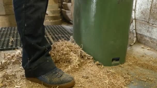 Carpintero trabajando con madera — Vídeo de stock