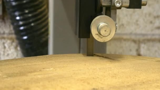 Carpintero trabajando con madera — Vídeo de stock