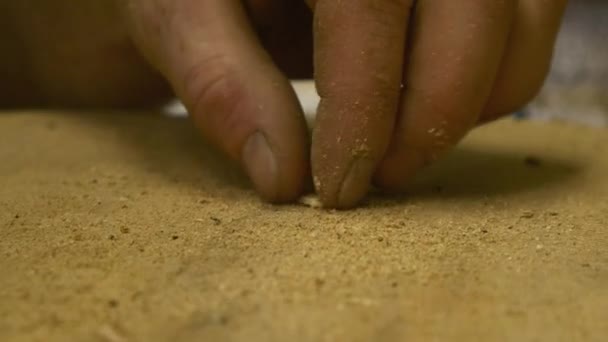 Carpintero trabajando con madera — Vídeo de stock