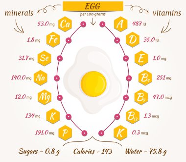 Yumurta infographics vektör.