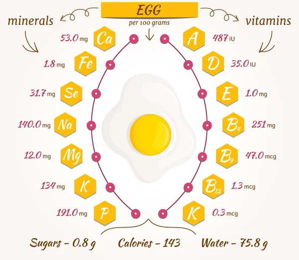 Infografías vectoriales de huevos . — Archivo Imágenes Vectoriales