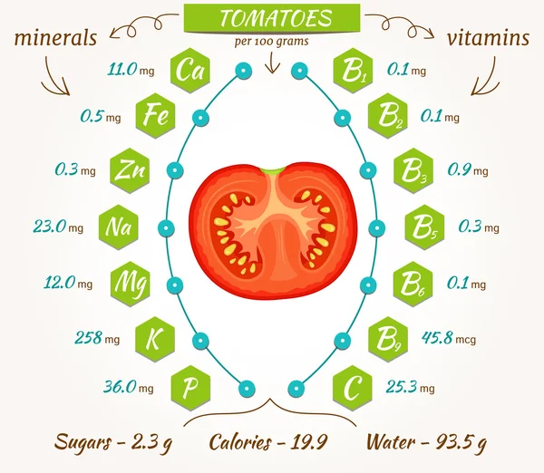 Infografías de tomates vectoriales . — Archivo Imágenes Vectoriales