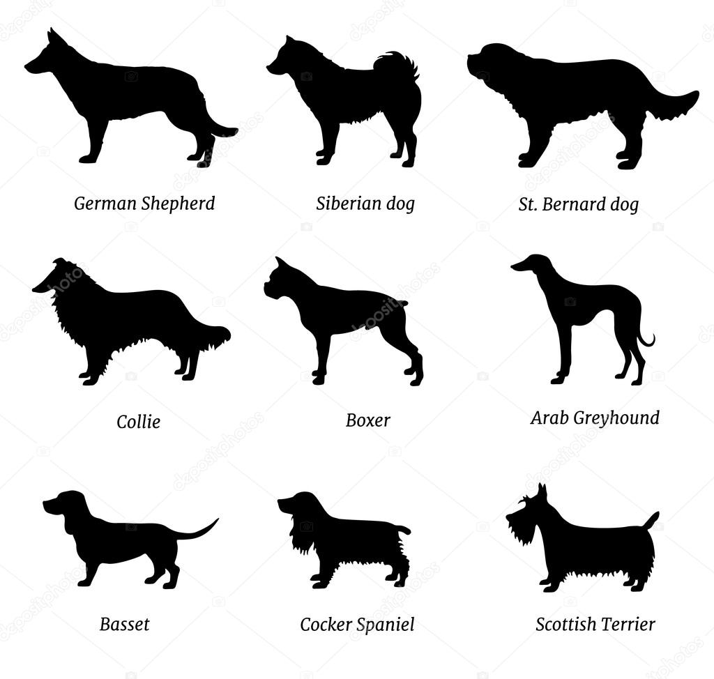 Vector silhouettes of dogs with names.