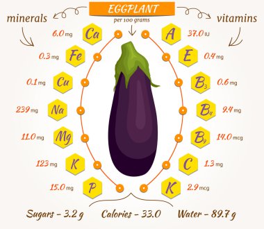 Vektör patlıcan, infographics.