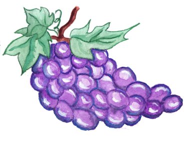 Şekil üzüm fırça 