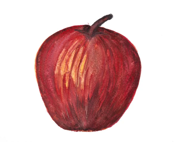 Red apple in watercolor — Stock Photo, Image