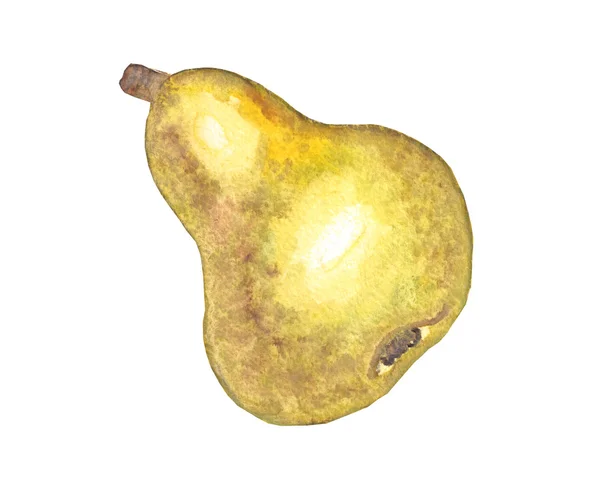 Малюнок аквареллю жовта груша — стокове фото