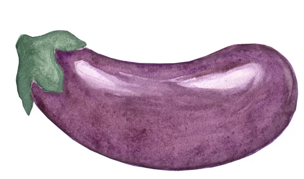 Figur Aubergine in Aquarell — Stockfoto