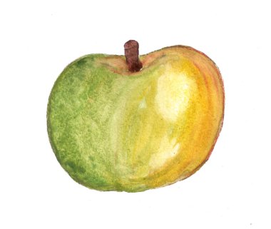 Suluboya çizimi yeşil elma   
