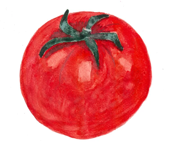 Figura del pomodoro rosso — Foto Stock