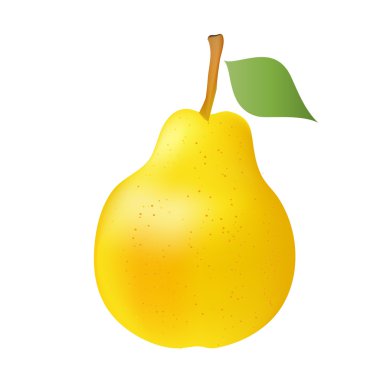 Beyaz zemin üzerinde bir kiraz vektör çizim