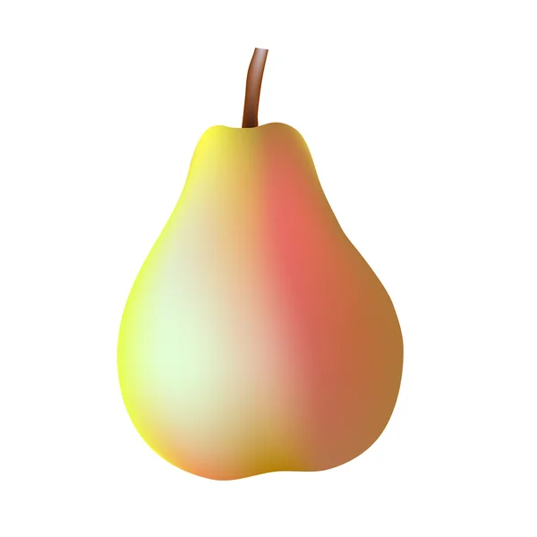 Vektor illustration av ett päron på en vit bakgrund — Stock vektor