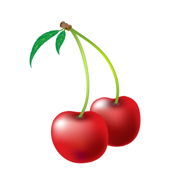 Beyaz zemin üzerinde bir kiraz vektör çizim
