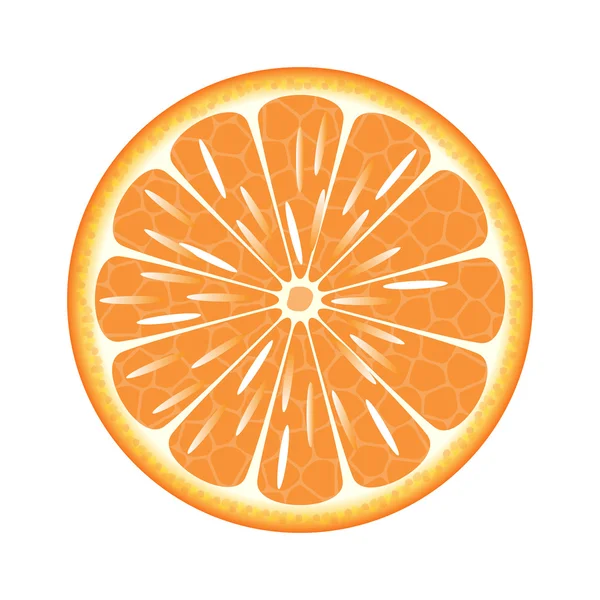 Naranja en un corte sobre un fondo blanco — Vector de stock