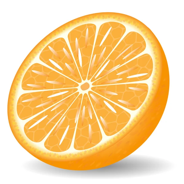 Naranja en un corte sobre un fondo blanco — Vector de stock