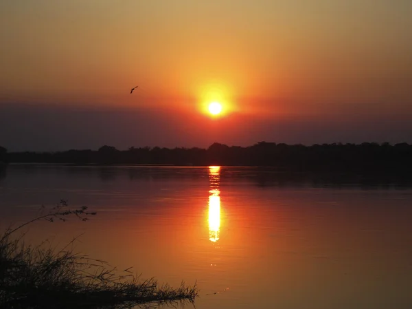 Sonnenuntergang auf dem Fluss in Namibia — Stockfoto