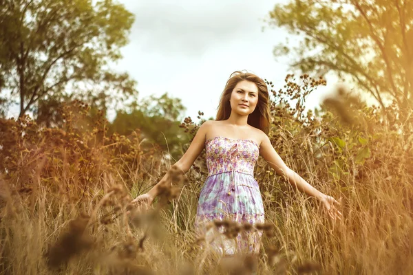 Asiática chica en vestido en campo —  Fotos de Stock